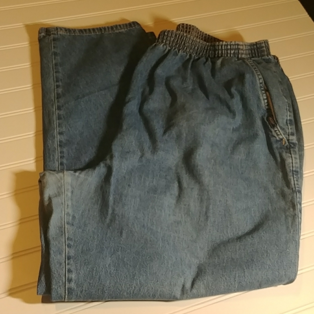 Chic Blue Denim Pull On Jeans